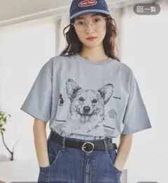 niko and…ドローイングBIGDOG Tシャツ　M