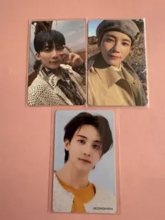 chipi（まとめ買い対応可）様 リクエスト 8点 まとめ商品