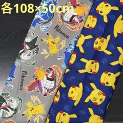 【1点限定】ポケモン柄生地　オックス　2点　《各110×50cm》