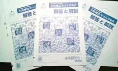 3回分１５教科☆写真追加可☆☆2024年Vもぎ過去問☆解説解答付き