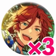 三毛縞斑 イベコレ缶バッジ 2022 winter