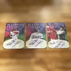 Item thumbnail for item 005513bd-7e58-4a4d-82ec-ada5279fcc1e