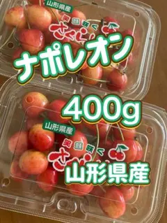 山形県産 さくらんぼ ナポレオン 400gのサムネイル