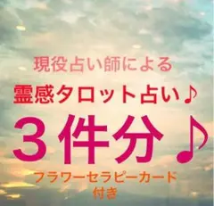 こみか様専用 ご質問３つ分ページ ブレスレット2点