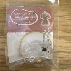 わんこのタイムカプセル