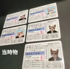 Item thumbnail for item c6e04a07-0fb3-46b5-b033-75be81b9977f