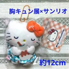N199 ☆新品☆ 胸きゅん展×サンリオ　ぬいぐるみキーホルダー　ハローキティ