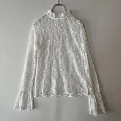 花柄 総レース ブラウス ハイネック ペプラム袖 シースルー フェアリーグランジ