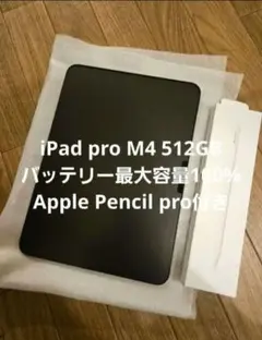 2026年最新】IPAD pro 11 m4 512 cellularの人気アイテム - メルカリ