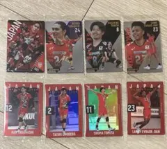 日本代表 バレーボール 選手カードセット