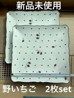 新品 リチャードジノリ イタリアンポア 野いちご てんとう虫
