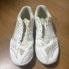 MIZUNO WAVE CRAW EL 2のサムネイル