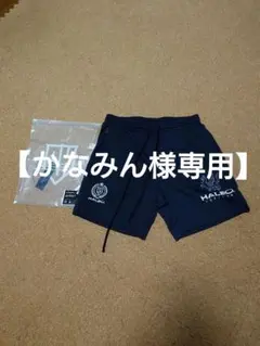 HALEO TOP TEAM MESH SHORTS BLACK