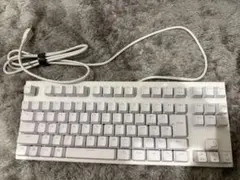 Topre REALFORCE GX1 White 30g