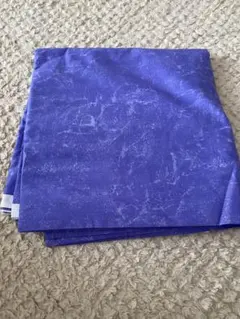 Item thumbnail for item f70615fb-f986-40dc-a7c4-c0d11bfe9ff7