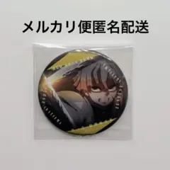 我妻善逸 キャラクターグッズ