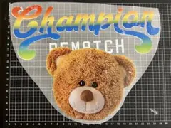 Item thumbnail for item aca8c0d3-bc0b-4827-b39b-2b2915e07e05