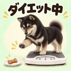オーダーメイド 犬種別ステッカー オリジナルグッズ