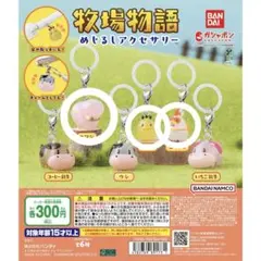 牧場物語 めじるしアクセサリー