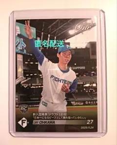 Item thumbnail for item f8e3a9c7-4001-4f40-97f6-59bbd1b346ef