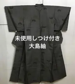 Item thumbnail for item 894acd35-8eac-48d9-a28d-04a751cb73cb