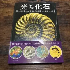 Item thumbnail for item 4ee7fcdc-76b4-4830-8d4e-026bfc701547