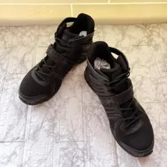 Item thumbnail for item 21642c69-f045-4c54-a4ea-9c3333379072