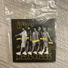 新品　リアルピース　シール　ステッカー