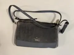 Item thumbnail for item 9294019a-4946-415e-bc2d-ef8f2e0d49d6