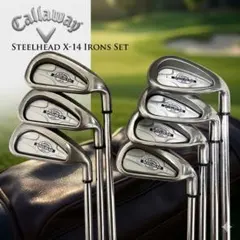 【名器】Callaway Steelhead X-14　アイアン7本セットのサムネイル