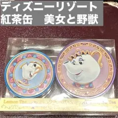 ディズニーリゾート　美女と野獣　紅茶缶　ディズニーランド　Disney