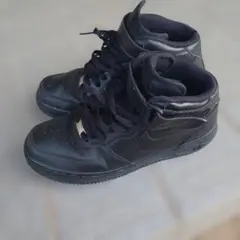 Item thumbnail for item 041f3c36-64bb-4580-9b32-efd39cd1f783