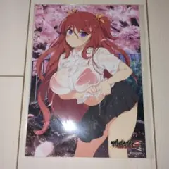 閃乱カグラ NewWave Gバースト 第4弾 銀塩ブロマイド【芦屋 2】