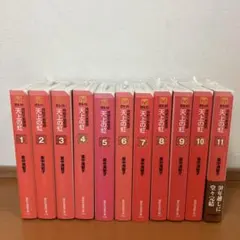 2025年最新】天上の虹 全11巻セットの人気アイテム - メルカリ