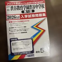 うらっち様 リクエスト 2点 まとめ商品