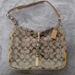 COACH ワンショルダーバッグ　アクセサリーポーチ　シグネチャー 6091