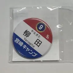 ソフトバンクホークス 柳田悠岐 宮崎キャンプ2026 缶バッジ