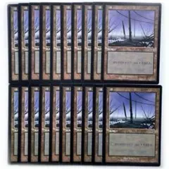 MTG 旧枠 日本語 FOIL 基本土地 基本地形 まとめ売り 希少 旧枠/平地/基本土地/foil/メルカディアンマスクス 1枚の通販 maru1