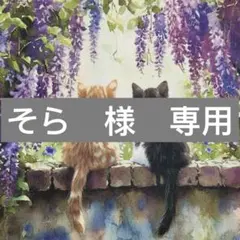 そら様　専用