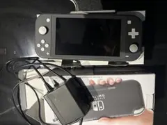 Nintendo Switch Lite グレー 本体 ACアダプター付き