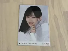 乃木坂46 生写真 山下美月 2023 lucky bag 福袋 カレンダー衣装