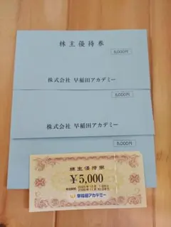 早稲田アカデミー　株主優待券　20000円分