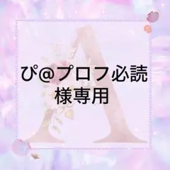 ぴ@プロフ必読様専用