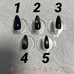 即購入不可 ネイルチップ マグネット オーダー