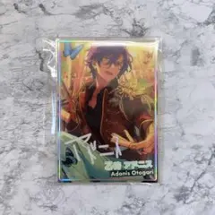 あんスタ　虹色開花ポートレート　乙狩アドニス