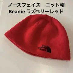 ノースフェイス　ニット帽　Bones Beanie Youth