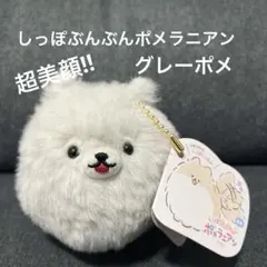 ＊綾木＊プロフ必読☆様 リクエスト 2点 まとめ商品