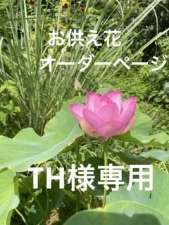 TH様専用　お供え花オーダーページのサムネイル
