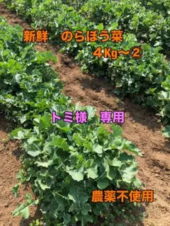 トミ様 リクエスト おまとめ商品②