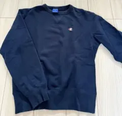 Item thumbnail for item 17cda4f6-9581-4940-a2a3-f109f834a047